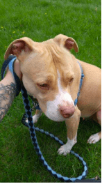 donate-time-to-local-non-profits4