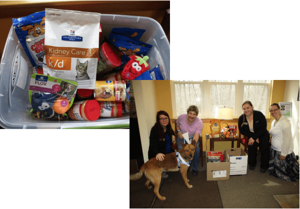 donation-to-all-breed-rescue